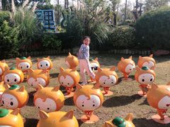 -上海长兴岛郊野公园