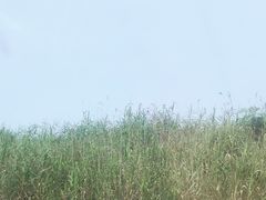 -祝甸砖窑文化馆