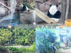 -南宁市动物园