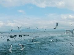 -深圳湾公园(南山区)