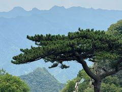 -圣莲山风景区