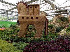 -兰陵国家农业公园