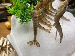 -尚海豆捞(乐虹坊店)