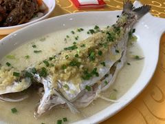 -水上鱼当家