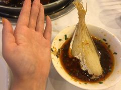 -川道拐耗儿鱼(旗舰店)