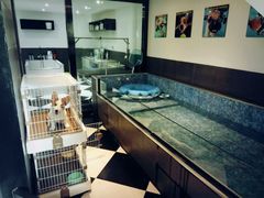 -Oh My Dog宠物沙龙(伊珊娜皮毛护理店)