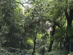 -北极阁公园