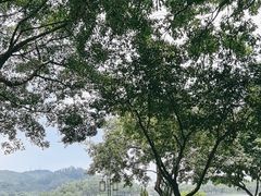 -顺峰山公园
