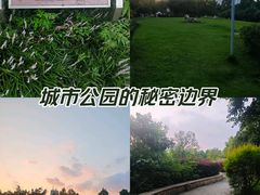 -沙河三洞古桥公园