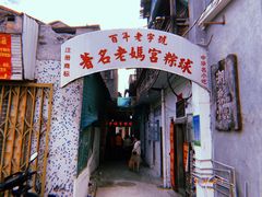 -老妈宫粽球