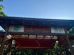 -海口火山口国家地质公园