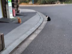 -昆山城市公园
