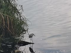 -捞渔河湿地公园