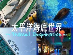 -太平洋海底世界