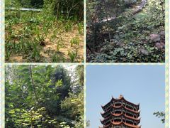 -富乐山