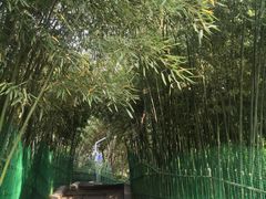 -西安市长乐公园