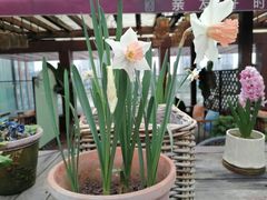 -时光乌托邦空中花园·川味·礼宴(星汇两江店)