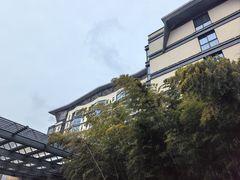 -常州环球恐龙城维景国际大酒店