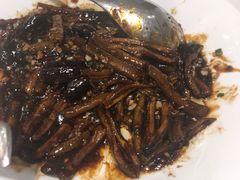 -新吉士·上海菜(浦东LCM置汇旭辉店)