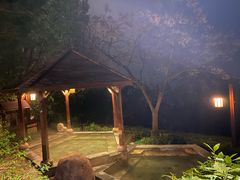 -天目湖涵田半山温泉