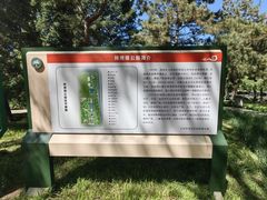 -玲珑塔公园