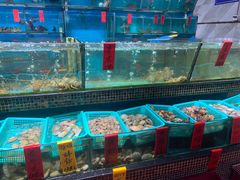 -海大大蒸汽海鲜餐厅·粤菜·特色小炒(欢乐颂店)