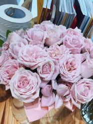 -玛尼瑜伽·普拉提