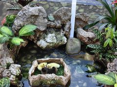 -赛格国际购物中心(小寨店)