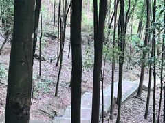 -凤栖山