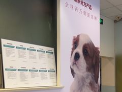 -瑞派申生动物医院·24H夜诊·国际动物医疗中心·骨外科(吴中路店)