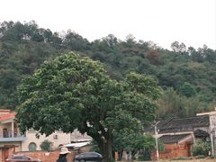 -良溪古村