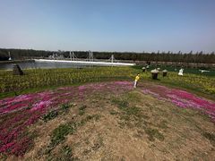 -兰陵国家农业公园