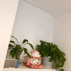 点击看大图 -skin79皮肤管理中心