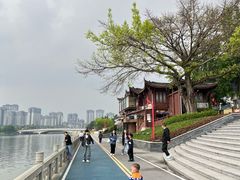 -眉山湿地公园(东坡区)