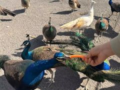 -水上乐园·欢乐世界