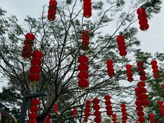 -香蜜公园