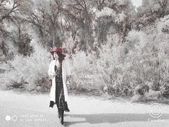 -木垒胡杨林