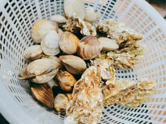 -四海蒸鲜蒸汽海鲜自助(北戴河店)