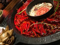 红汤-蜀大侠火锅(建设路第五大道店)