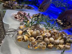 -重庆丽苑维景国际大酒店·海鲜自助餐厅