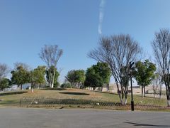 -盘龙城国家考古遗址公园