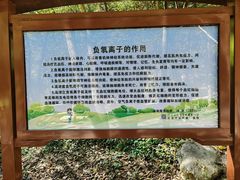 -牛背梁国家森林公园