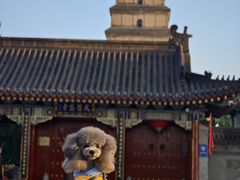 -大慈恩寺(大雁塔)