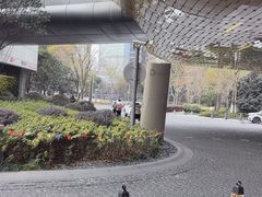 -上海中心大厦