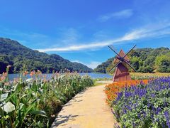 -广州市石门国家森林公园