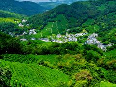 -西湖文化广场