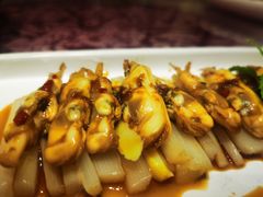 蛏子-临家闽南菜(宝洲路店)