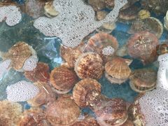 -晓伟海鲜家常菜