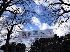 -北海道神宫