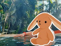 -中家鑫园温泉酒店鑫悦汤泉